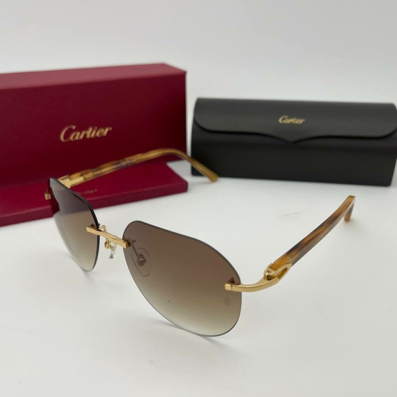 Очки Cartier H2005